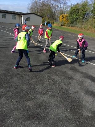 Hurling Coaching